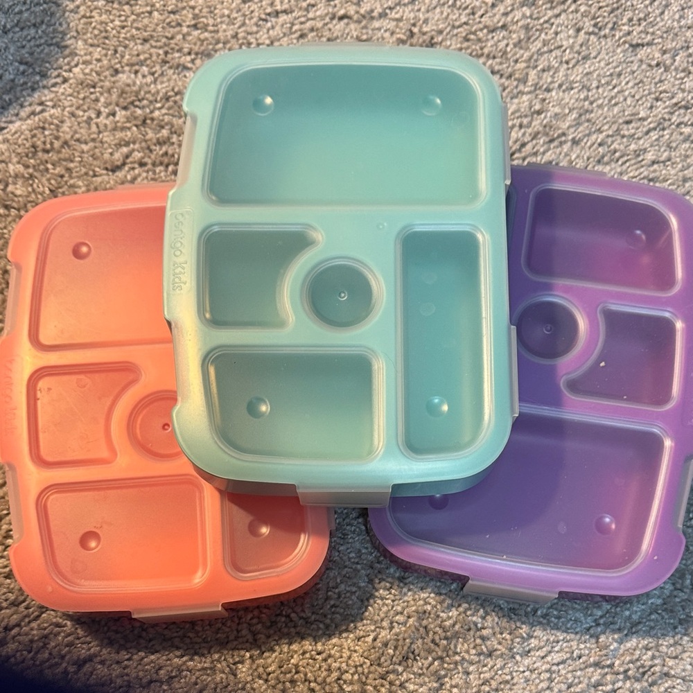 3-Pack Divided Lunch Containers in Teal, Coral & Purple